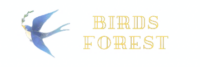 BirdsForest