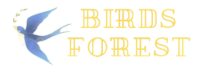BirdsForest